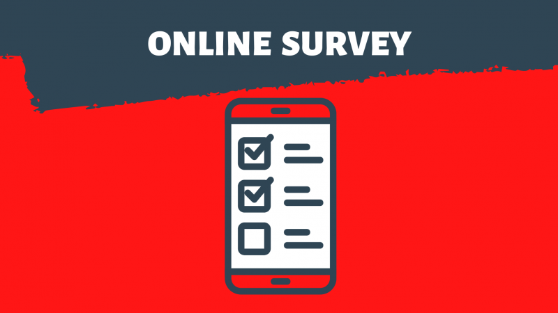 Online Survey